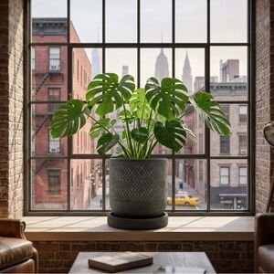 Bohemian Grey Concrete Planter with Saucer - 6 Inch Round Geometric Flower Pot